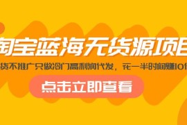 （5062期）淘宝蓝海无货源项目，不囤货不推广只做冷门高利润代发，花一半时间赚10倍钱