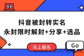 （14195期）抖音被封转实名攻略，永久封禁也能限时解封，分享解封后高效选品技巧