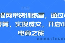 小红书混剪带货训练营，通过小红书搬运混剪，实现成交，开启小红书电商之旅