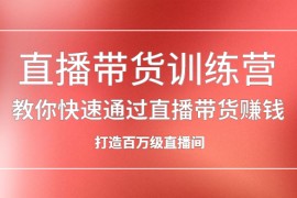 （2086期）直播带货训练营，教你快速通过直播带货赚钱，打造百万级直播间