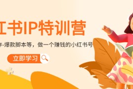 （4521期）小红书IP特训营：从搭建-制作-爆款脚本等等，做一个赚钱的小红书号