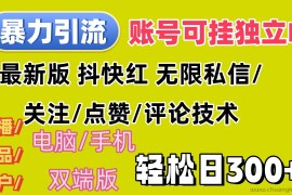 （12210期）暴力引流法 全平台模式已打通  轻松日上300+