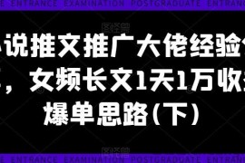 小说推文推广大佬经验分享，女频长文1天1万收益爆单思路(下)