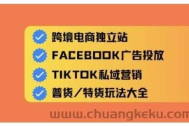 跨境电商独立站及全域流量营销，从0基础快速入门并精通跨境电商运营