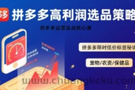 拼多多选品暴利技术实战课，拼多多高利润选品策略，拼多多限时低价标签秘诀