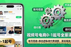 （16262期）视频号电商0-1起号全案课：账号搭建+推流逻辑+微付费调整，等实操体系