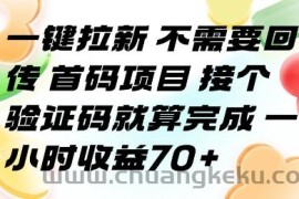 一键拉新 不需要回传 首码项目 接个验证码就算完成 一小时收益70+【揭秘】
