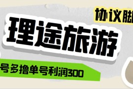 （5922期）单号200+左右的理途旅游全自动协议 多号无限做号独家项目打金【多号协议】