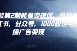 汤小小账号变现课第2期，今日头条、小红书、公众号，1000粉也可以接广告变现