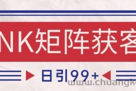 小红书某音NK赛道引流获客 自热矩阵日引200+【揭秘】