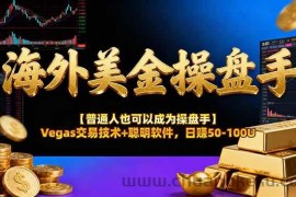 （17253期）AI美金操盘手技术【普通人也可以成为操盘手】Vegas交易技术+聪明软件，日赚50-100U