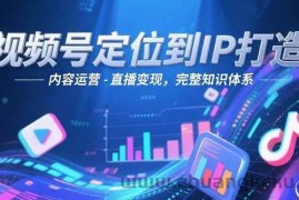 （15173期）视频号定位到IP打造：账号搭建-内容运营-直播变现，完整知识体系