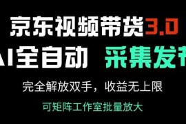 京东视频带货3.0，Ai全自动采集+自动发布，完全解放双手，收入无上限