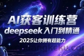 AI获客训练营，deepseek入门到精通，2025让你拥有超能力
