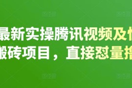 2022最新实操腾讯视频及快看点无脑搬砖项目，直接怼量撸收益