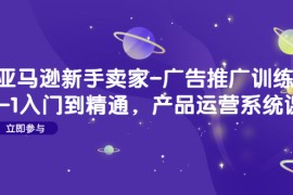 （4621期）亚马逊新手卖家-广告推广训练营：0-1入门到精通，产品运营系统课！