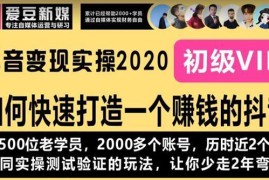 （1077期）《抖音变现实操2020》如何快速打造一个赚钱的抖音，新手也能操作-全新课程