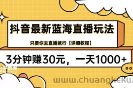 （3093期）抖音最新蓝海直播玩法，3分钟赚30元，一天1000+只要你去直播就行(详细教程)