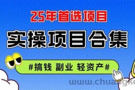 （14767期）2025实操项目合集 挂机类型 直播类型 轻资产创业类型 课程分享各项目介…