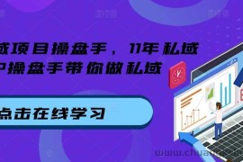 私域项目操盘手，11年私域TOP操盘手带你做私域