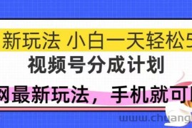 （14815期）视频号分成计划，全网最暴力玩法，新手一天也能轻松500+
