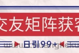 小红书某音交友赛道引流获客 自热矩阵日引200+【揭秘】