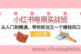 （11533期）小红书电商实战班，从入门到精通，带你抓住又一个赚钱风口（16节）