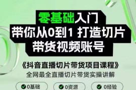 抖音直播切片带货项目课程，带你0基础打造切片带货账号，用明星ip实现躺