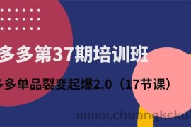 （10835期）拼多多第37期培训班：拼多多单品裂变起爆2.0（17节课）