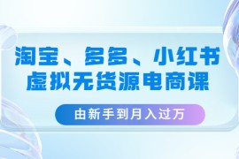 （4669期）淘宝、多多、小红书-虚拟无货源电商课：由新手到月入过万（3套课程）