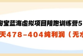 黄岛主：淘宝蓝海虚拟项目陪跑训练营5.0：单天478纯利润（无水印）