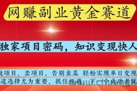 网创副业黄全赛道，掌握独家项目密码，知识变现快人一步，告别韭菜轻松实现单日变现1k+【揭秘】