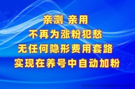 不再为涨粉犯愁，用这款涨粉APP解决你的涨粉难问题，在养号中自动涨粉