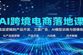 AI跨境电商落地课：从底层逻辑到产品开发、文案广告，AI模型训练与图像制作