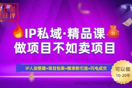 （14406期）2025年“IP私域·密训精品课”，日赚3000+小白避坑年赚百万，暴力引流…