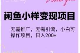 【信息差小项目】闲鱼小样变现项目，一单利润10到100+，一天轻松出几单