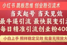 （14222期）小红书 巧用跳板思维 每日暴力引流400＋精准创业粉 小白福音 效果拉满…