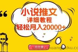 （10000期）简单操作，月入20000+，详细教程！小说推文项目赚钱秘籍！