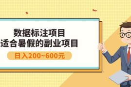 副业赚钱：人工智能数据标注项目，简单易上手，小白也能日入200+