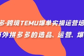 （6934期）拼多多-跨境TEMU爆单实操运营培训班，海外拼多多的选品、运营、爆单