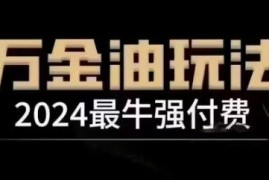 2024最牛强付费，万金油强付费玩法，干货满满，全程实操起飞（更新25年04月）