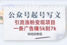 （6987期）公众号起号写文、引流涨粉变现项目，一条广告赚5k到7k，保姆级教程