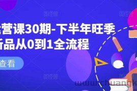 淘系运营课30期-下半年旺季新品从0到1全流程