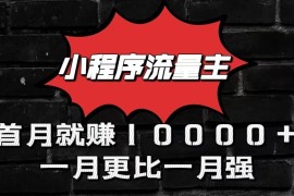 小程序流量主首月就赚10000+，一月更比一月强！小本创业首选