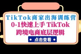 （4795期）TikTok商家出海训练营：0-1快速上手 TikTok跨境电商底层逻辑(无中创水印)
