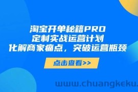 （14642期）淘宝开单秘籍PRO，定制实战运营计划，化解商家痛点，突破运营瓶颈