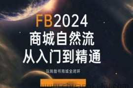 2024Faceboo商城自然流(从入门到精通)，玩转脸书商城全闭环