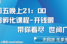 4.26日内部回放课程《项目孵化-开钱眼》赚钱的底层逻辑【揭秘】