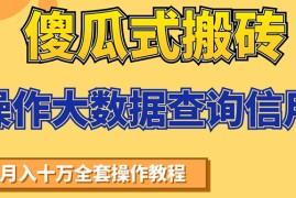 （1538期）傻瓜式搬砖操作大数据查询信用赚钱方法：助你快速月入6万全套操作教程