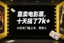 靠卖电影票，十天搞了7k+，小白无门槛上手，零投入【揭秘】